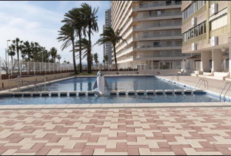 Ferienwohnung 1A Linea Con Piscina Nuevo Cullera Exterior foto
